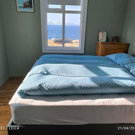 Happy-Cove Guesthouse - By The Sea Bakkafjorthur Extérieur photo