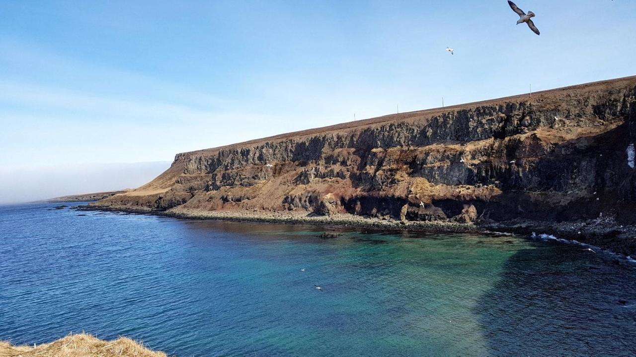 Happy-Cove Guesthouse - By The Sea Bakkafjorthur Extérieur photo