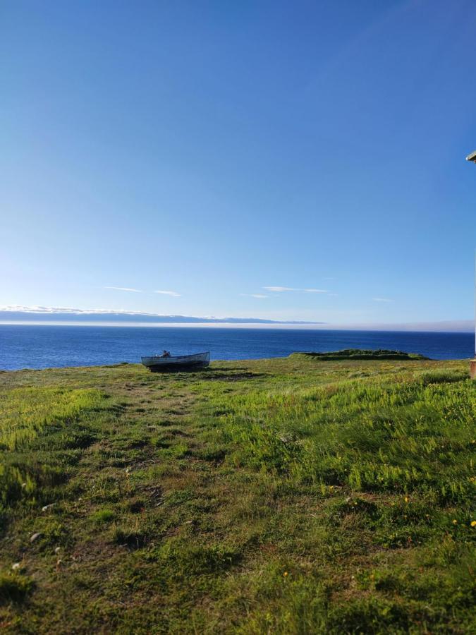 Happy-Cove Guesthouse - By The Sea Bakkafjorthur Extérieur photo