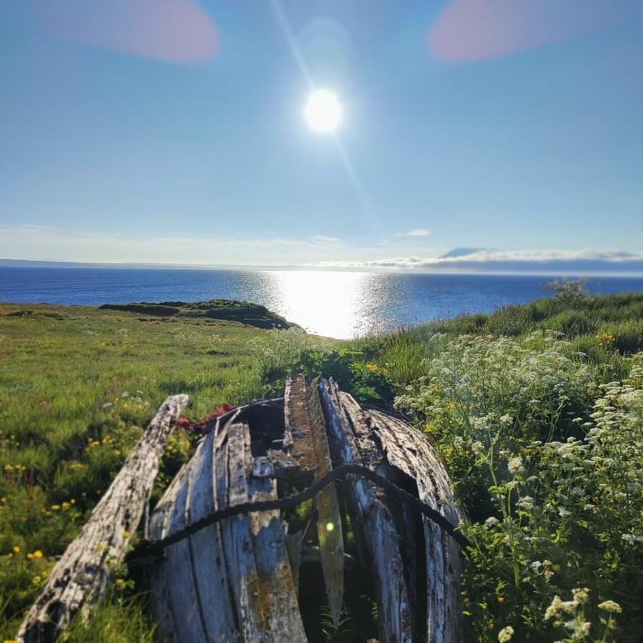 Happy-Cove Guesthouse - By The Sea Bakkafjorthur Extérieur photo
