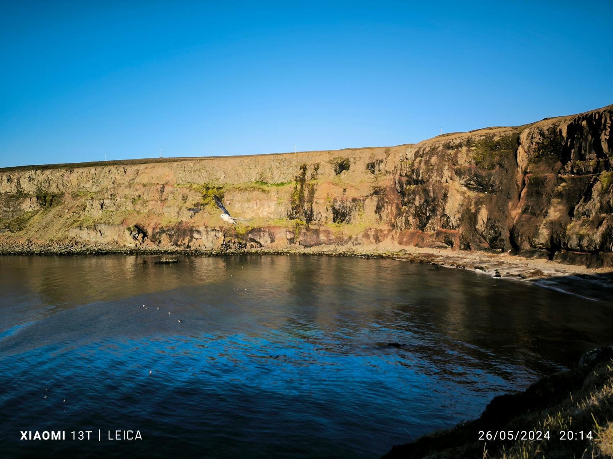 Happy-Cove Guesthouse - By The Sea Bakkafjorthur Extérieur photo